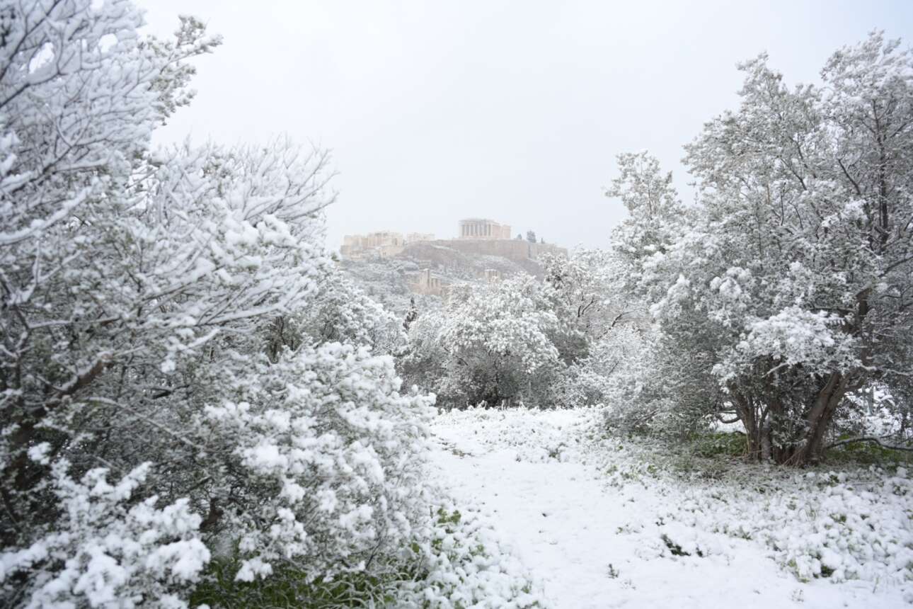 Χιονισμένο, θαρρείς αλπικό, τοπίο, στο κέντρο της Αθήνας