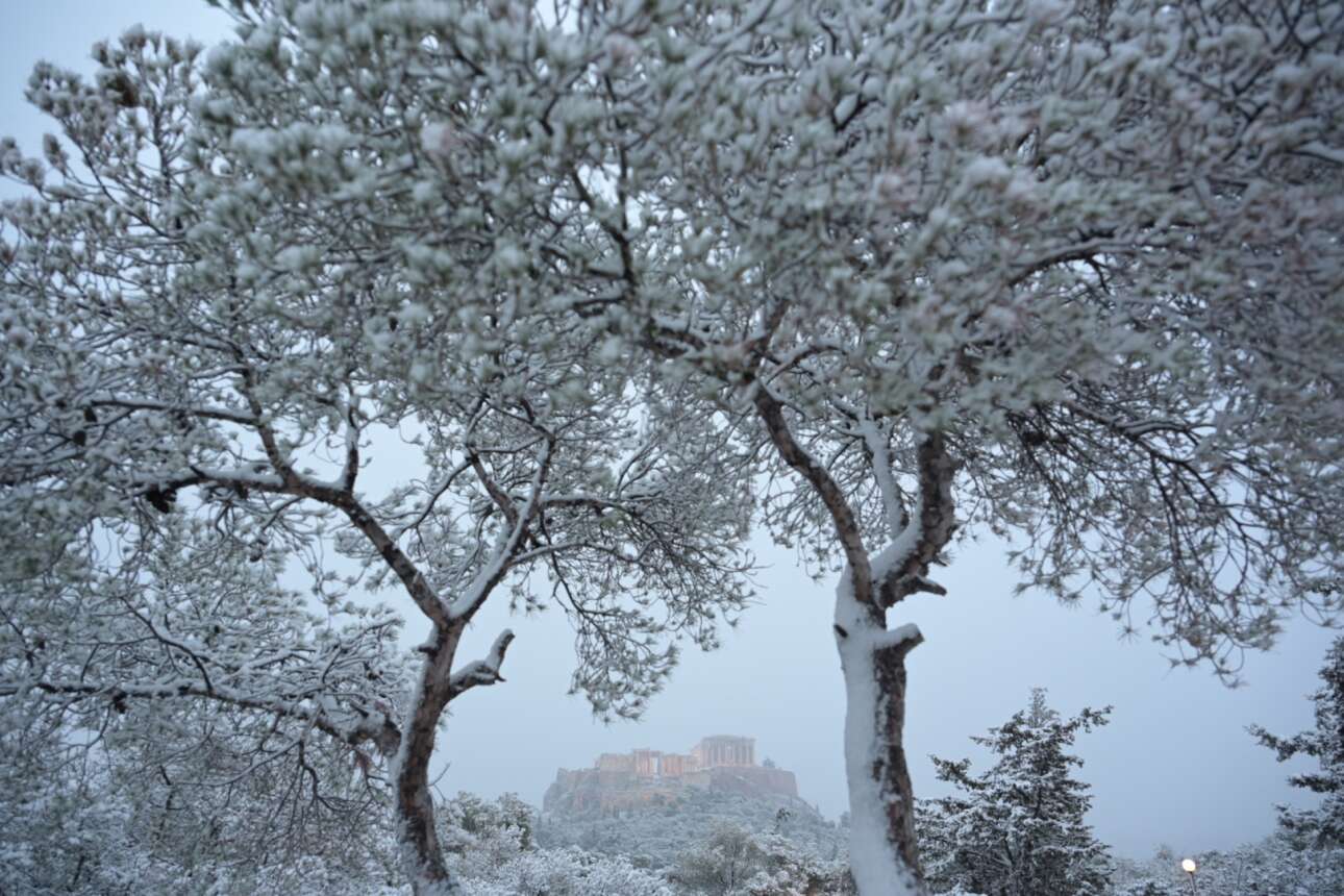 Η Ακρόπολη διακρίνεται μέσα από τα χιονισμένα δέντρα