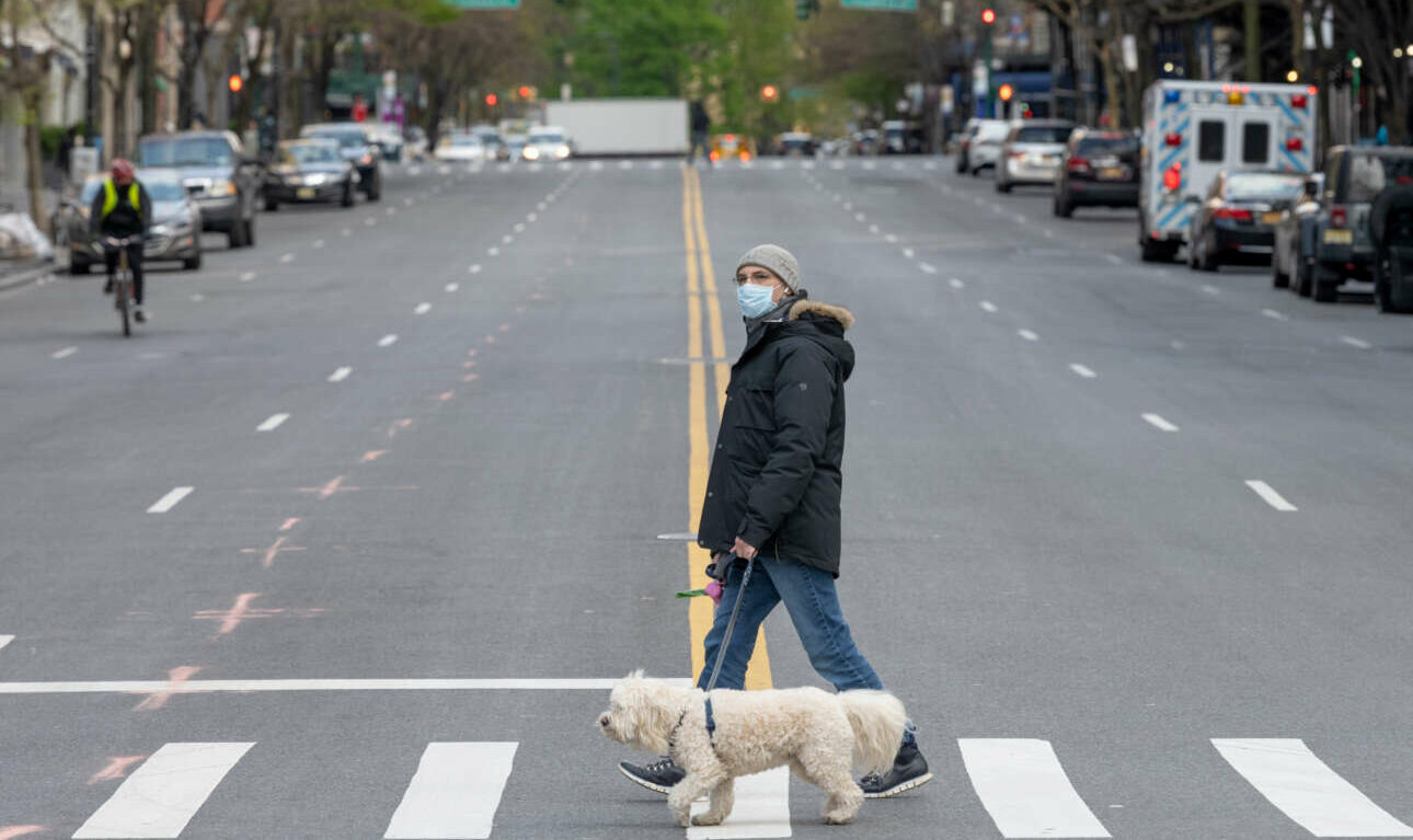 Νέα Υόρκη: H νομιμοποίηση της κάνναβης έφερε έκρηξη «φτιαγμένων» σκύλων