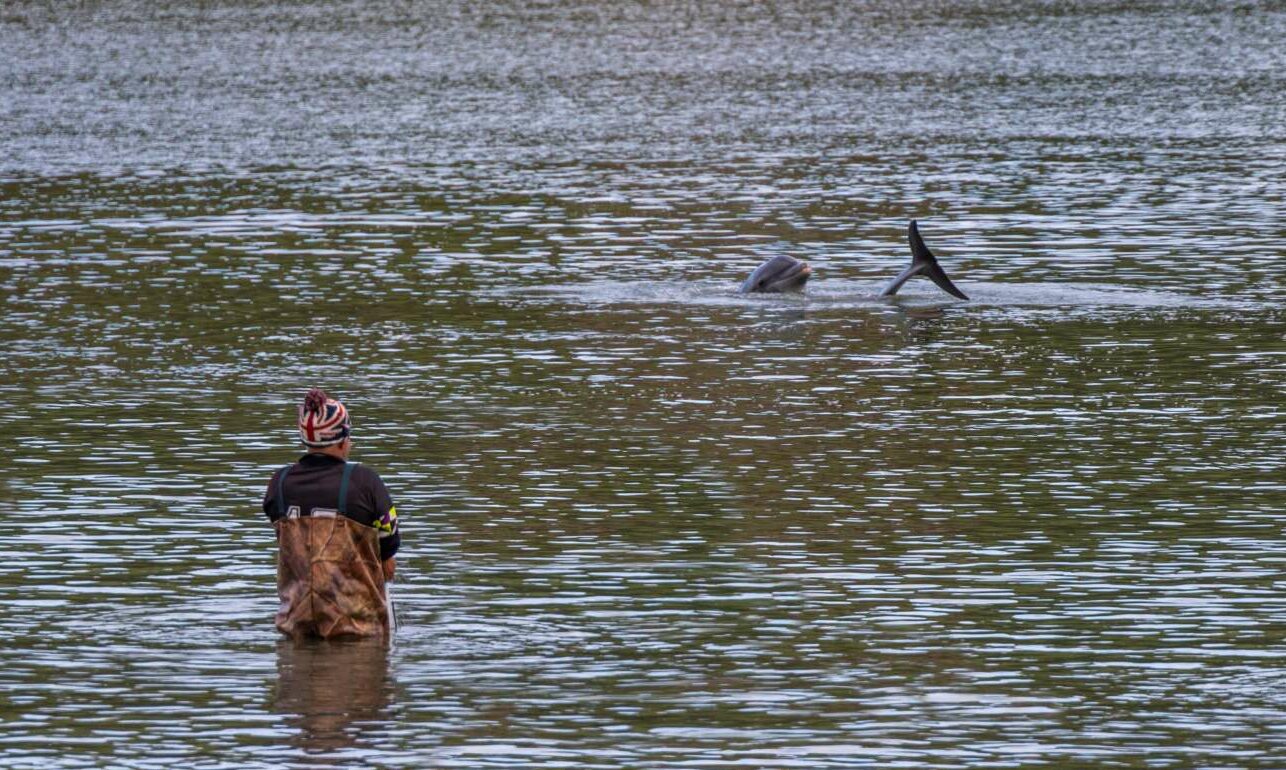Ανθρωποι και δελφίνια πάνε για ψάρεμα παρέα
