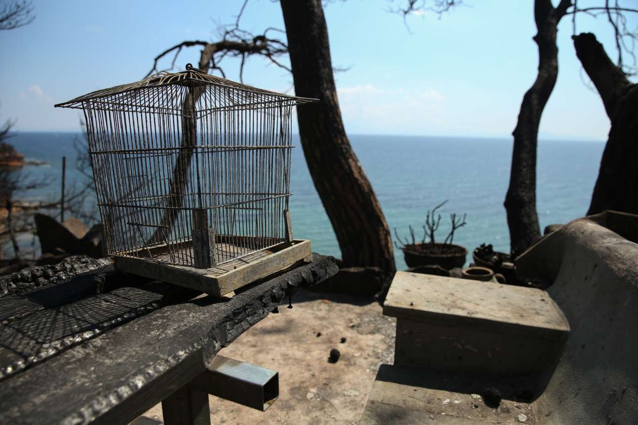 Δίκη για το Μάτι: «Το Λιμενικό ενημερώθηκε από τη Δανία ότι άνθρωποι βρίσκονται στη θάλασσα»