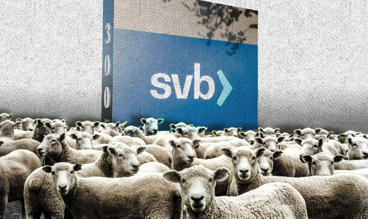 Οι «βοσκοί» και τα «πρόβατα» που φαλίρισαν την SVB