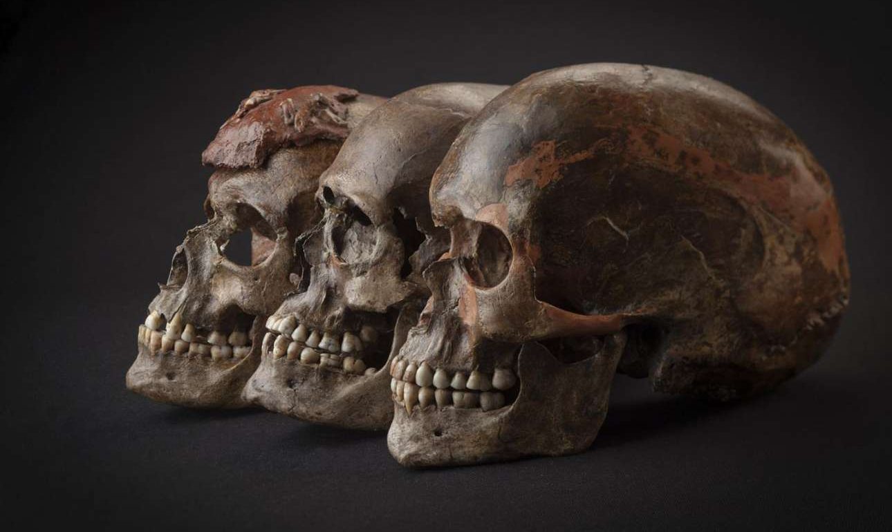 Αρχαίο DNA αποκαλύπτει την ιστορία των πρωτο-ευρωπαίων