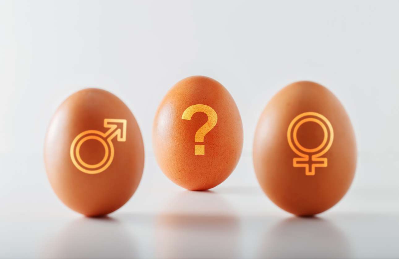 Νέα τεχνική επιλογής φύλου του εμβρύου «ξεγελά» τις απαγορεύσεις