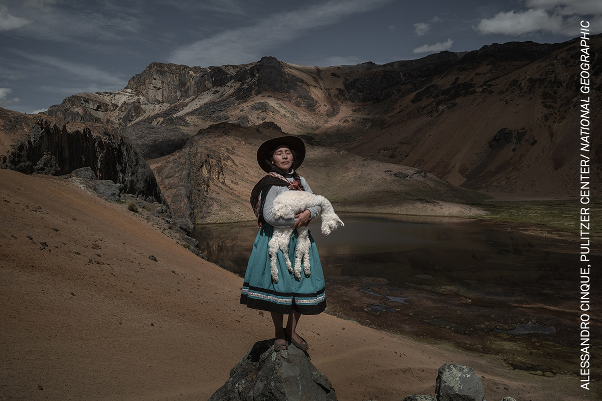 Νότια Αμερική, Ιστορίες, Αλπακέρος. Η Αλίνια Σουρκίσγια Γκόμεθ, αλπακέρα τρίτης γενιάς (κτηνοτρόφος αλπακά), κουβαλάει ένα μωρό αλπακά στον δρόμο για τα καλοκαιρινά λιβάδια της οικογένειάς της, στην Οροπέσα του Περού, 3 Μαΐου 2021. Ζωτικής σημασίας για τη διαβίωση πολλών ανθρώπων στις περουβιανές Ανδεις, τα αλπακά αντιμετωπίζουν νέες προκλήσεις λόγω της κλιματικής κρίσης. Οι αλπακέρος αναγκάζονται να μετακινηθούν σε μεγαλύτερα υψόμετρα για να ταΐσουν και να ποτίσουν τα ζώα τους, καθώς τα λιβάδια συρρικνώνονται και οι παγετώνες υποχωρούν εξαιτίας της κλιματικής κρίσης
