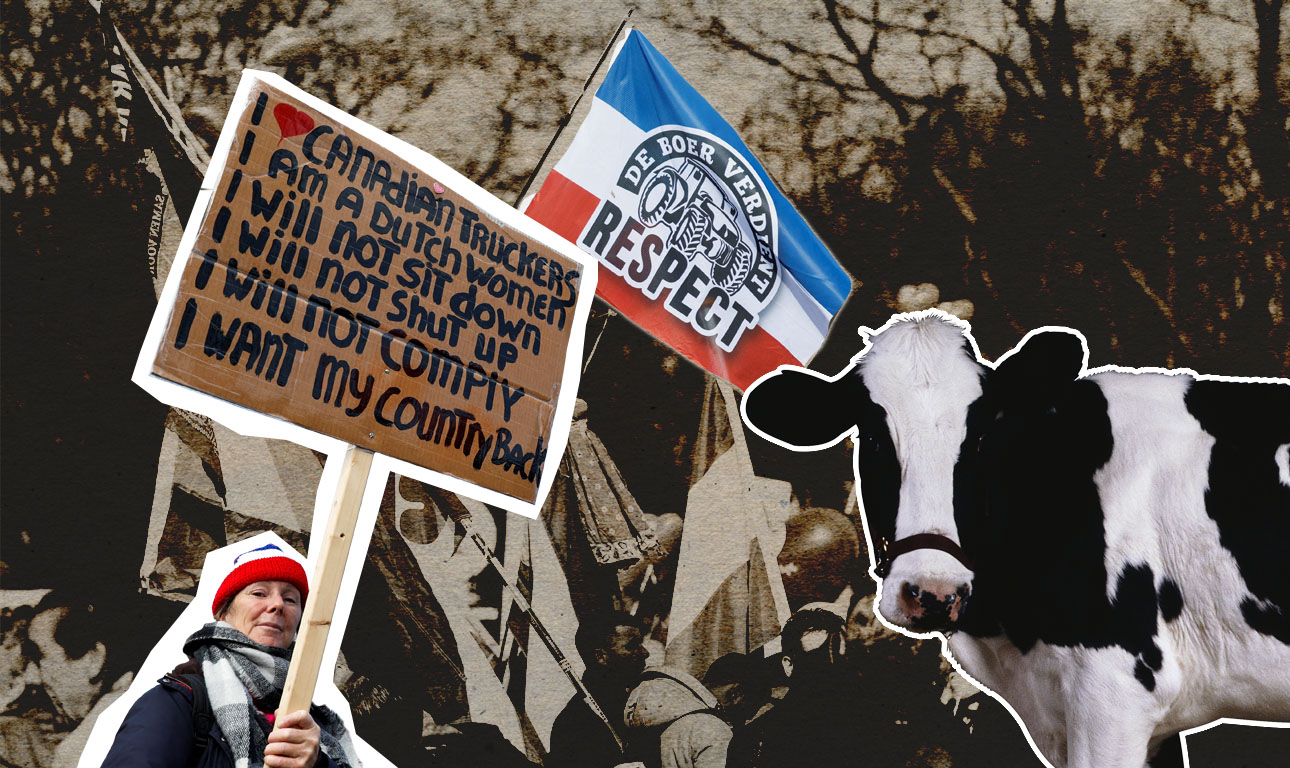 Ολλανδία: Αγροκτηνοτροφική «εξέγερση» λόγω… πράσινης μετάβασης