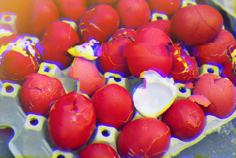 Πόσο φαγητό πετάξατε στις γιορτές;