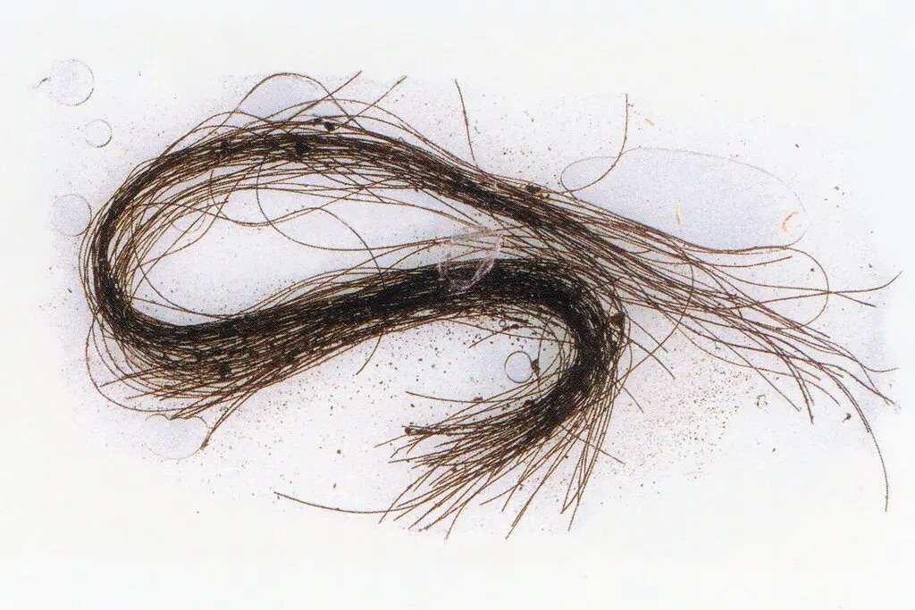 Οι άνθρωποι του Χαλκού έπαιρναν παραισθησιογόνα