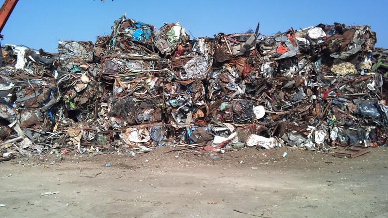 Φρικτός θάνατος για 68χρονη στα Ανω Λιόσια: Την κατασπάραξαν σκυλιά σε μάντρα σκραπ