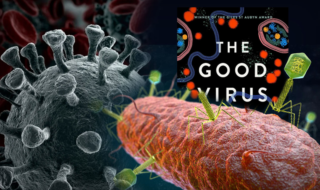 Ερχονται για τη σύγχρονη Ιατρική οι ιοί-σωτήρες από το παρελθόν