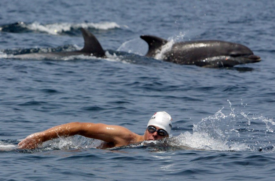 Ιαπωνία: Τέσσερις τραυματίες από επίθεση δελφινιών