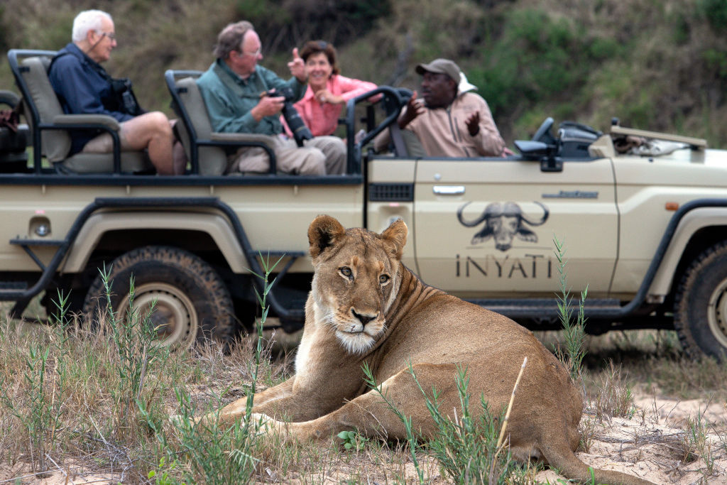 Νότια Αφρική: Χιλιάδες λιοντάρια εκτρέφονται προς τέρψιν των τουριστών