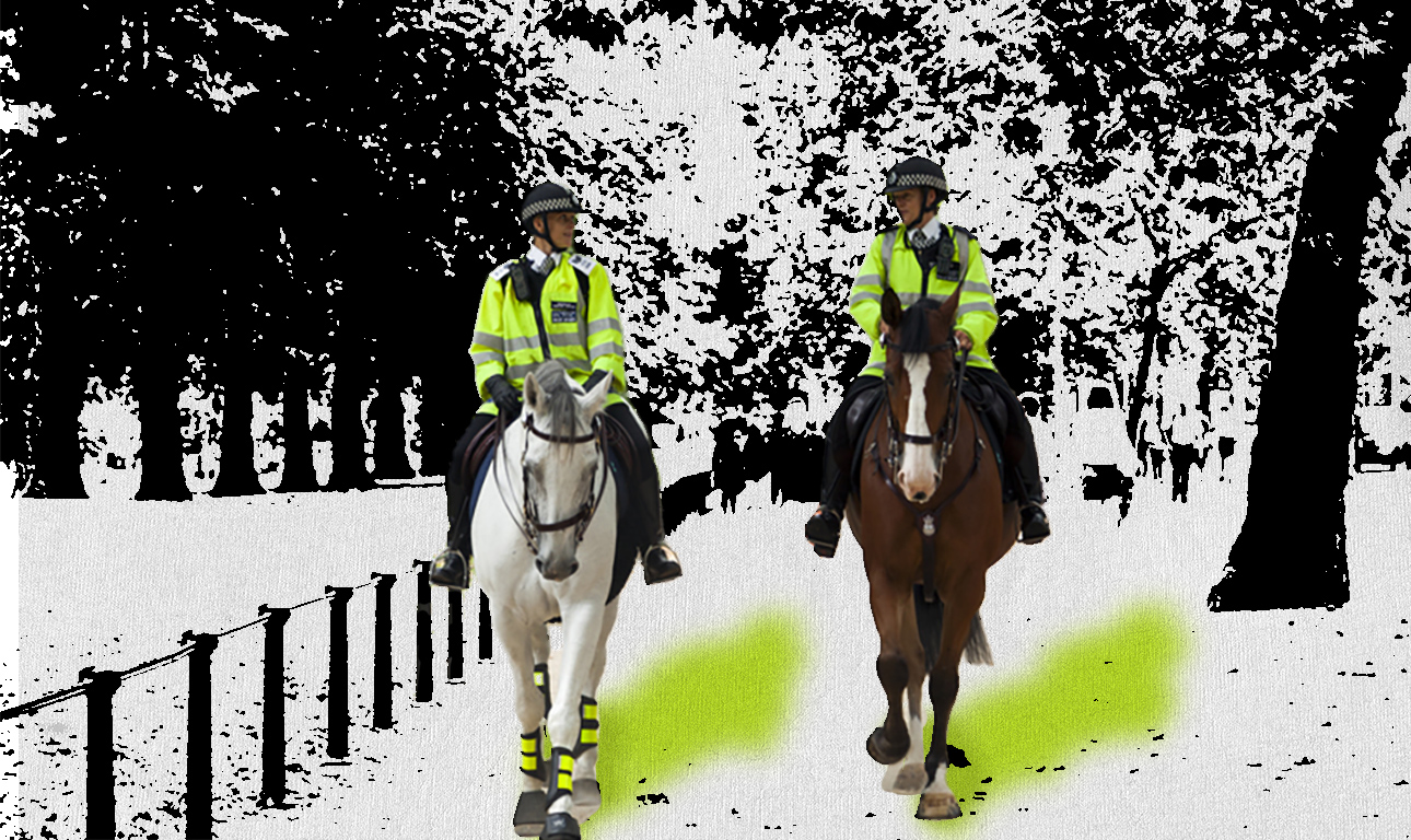 Τα άλογα του Χάιντ Παρκ και το επιτελικό κράτος