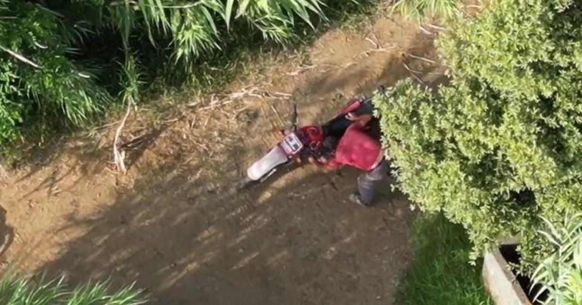 Καλαβρία: «Εργο εμπρηστών» οι περισσότερες φονικές πυρκαγιές