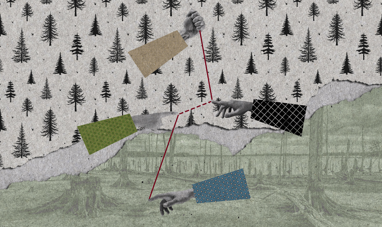 Διαχείριση δασών και άλλα ευτράπελα