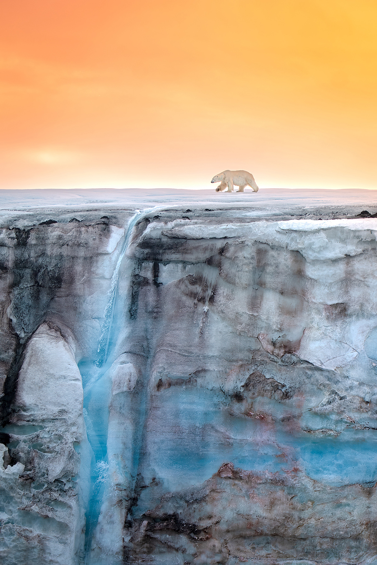 Φωτισμένη από τον ήλιο της Αρκτικής, μια πολική αρκούδα βαδίζει σε παγετώνα που κοσμείται από έναν καταρράκτη