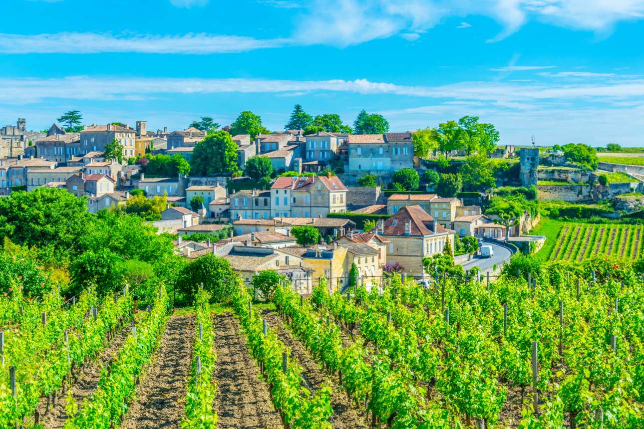 Απελπισμένοι οινοποιοί του Μπορντό ξεριζώνουν τα αμπέλια τους