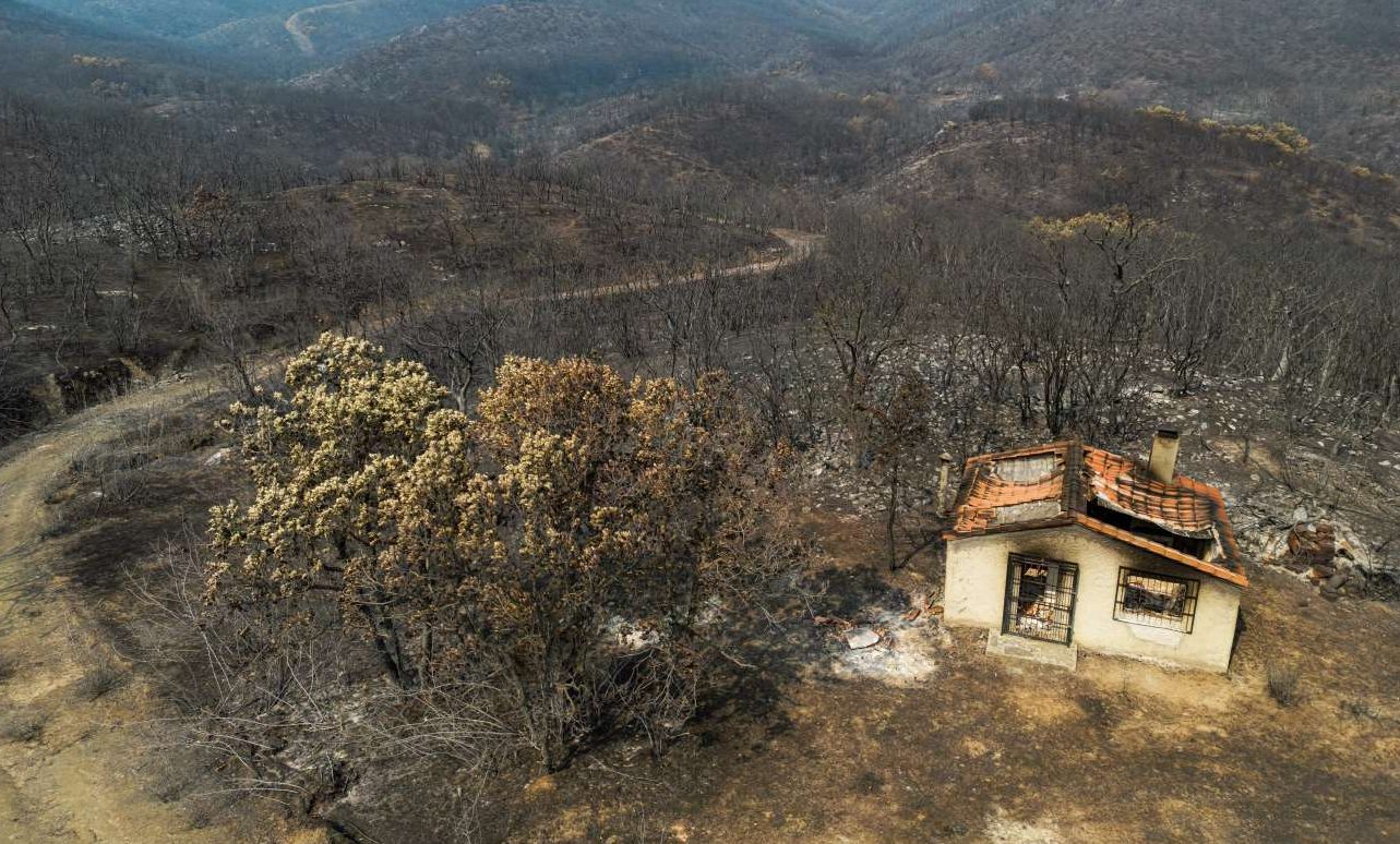 Επεκτείνεται η πλατφόρμα arogi.gov.gr και για τους πληγέντες από τις πυρκαγιές