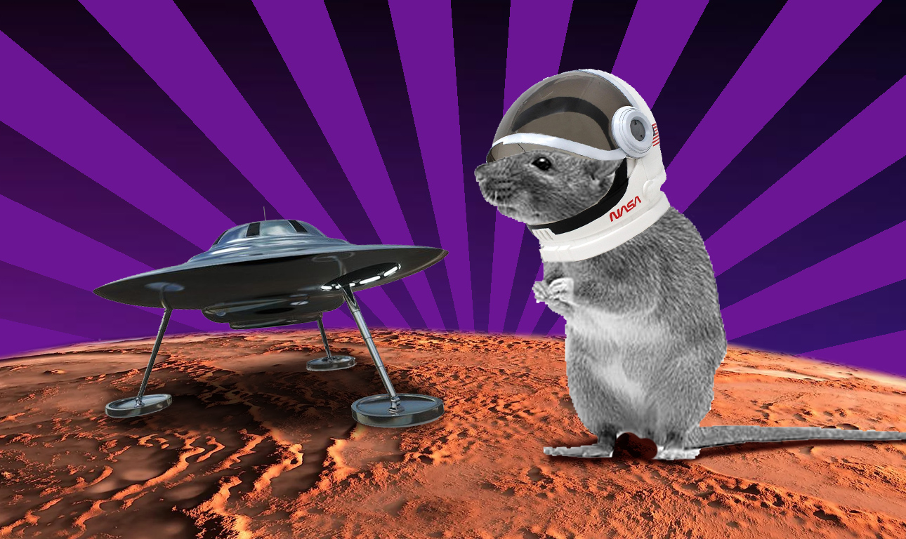 Πώς τα ποντίκια βοηθούν τη NASA να μας πάει στον Αρη