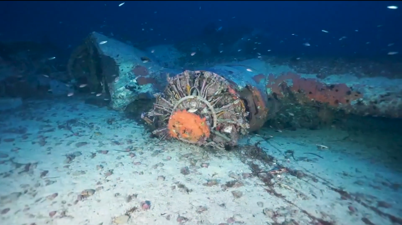 Ιταλία: Λείψανα αμερικανού ιπτάμενου ανασύρθηκαν από ναυάγιο 80 χρόνια μετά