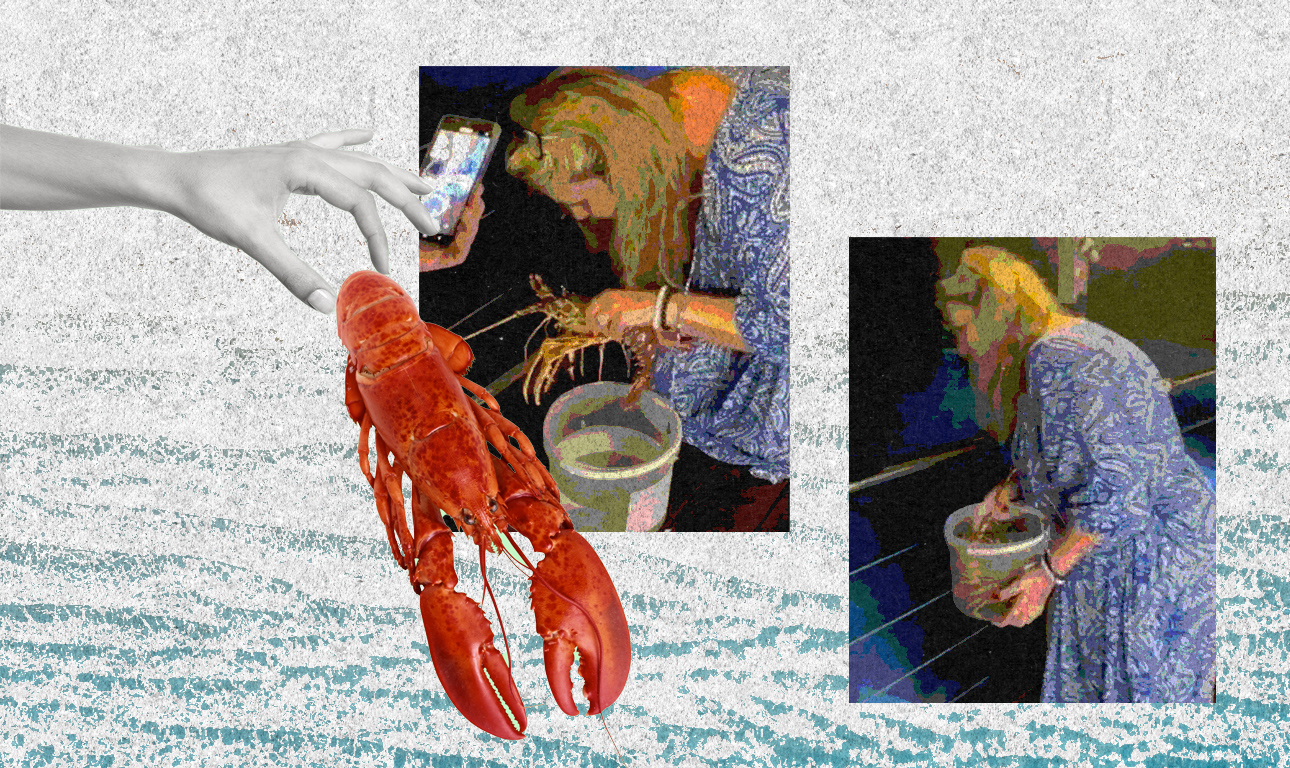 Πλήρωσε 200 ευρώ για έναν αστακό σε εστιατόριο και μετά… τον απελευθέρωσε