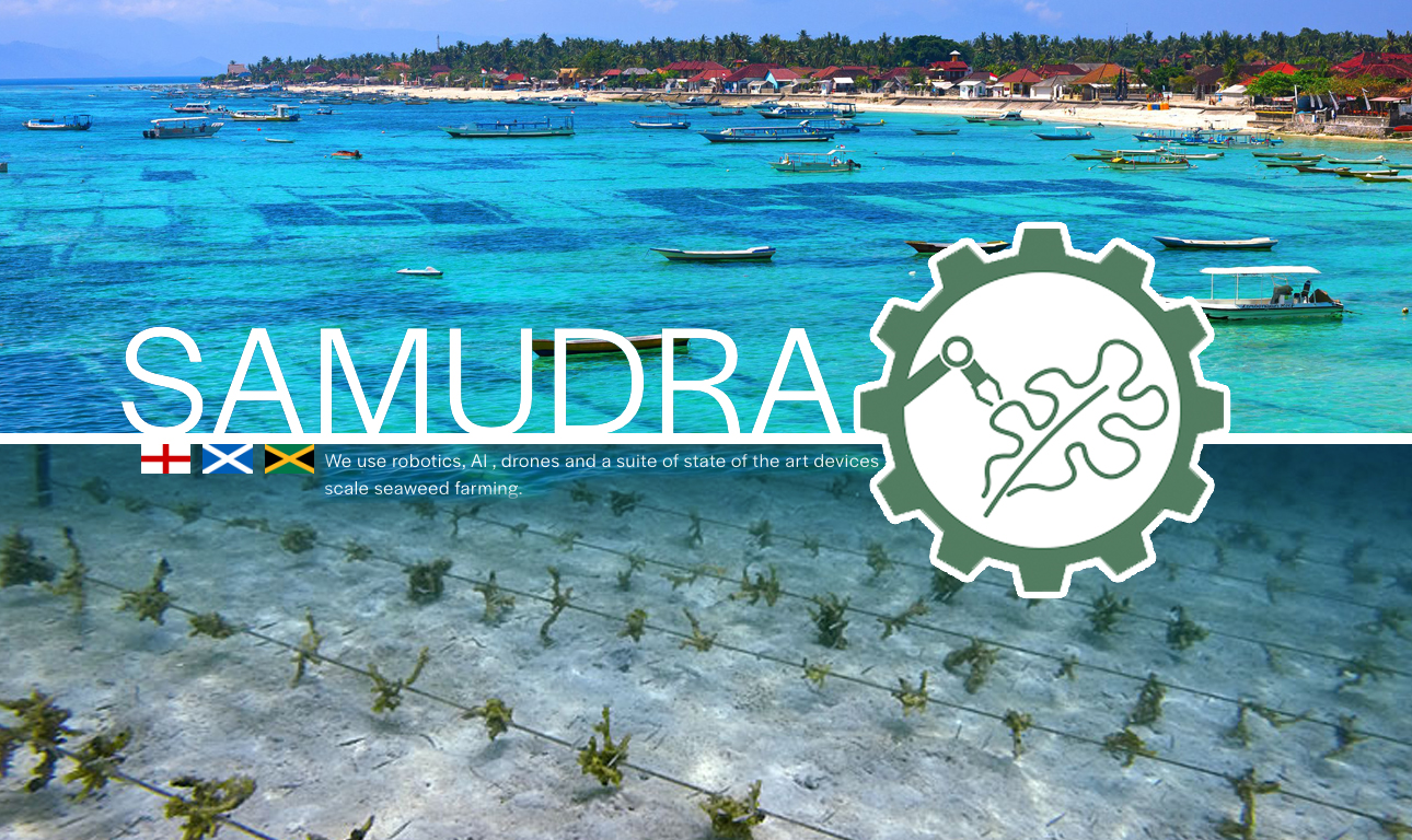 Ωκεάνιες φάρμες φυκιών με τη βοήθεια ρομπότ και Τεχνητής Νοημοσύνης