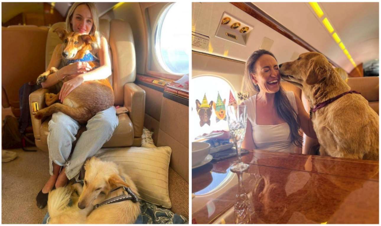 Ιδιωτικά τζετ για σκύλους πλουσίων: Ο καπιταλισμός -και η ανοησία- καταστρέφουν το περιβάλλον