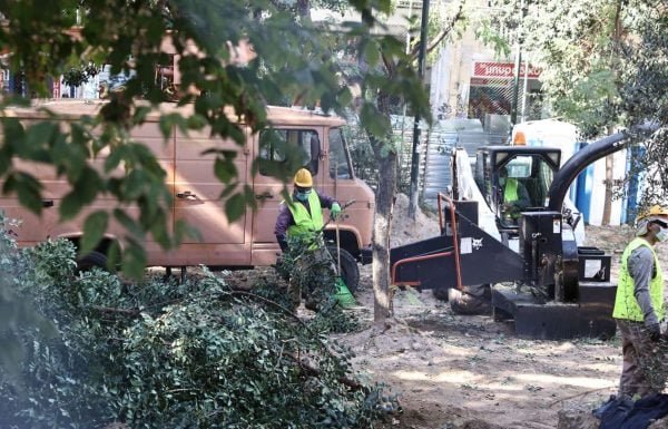 Δήμος Αθηναίων: 2.975 νέα δέντρα στο πλαίσιο της συνεργασίας για το Μετρό