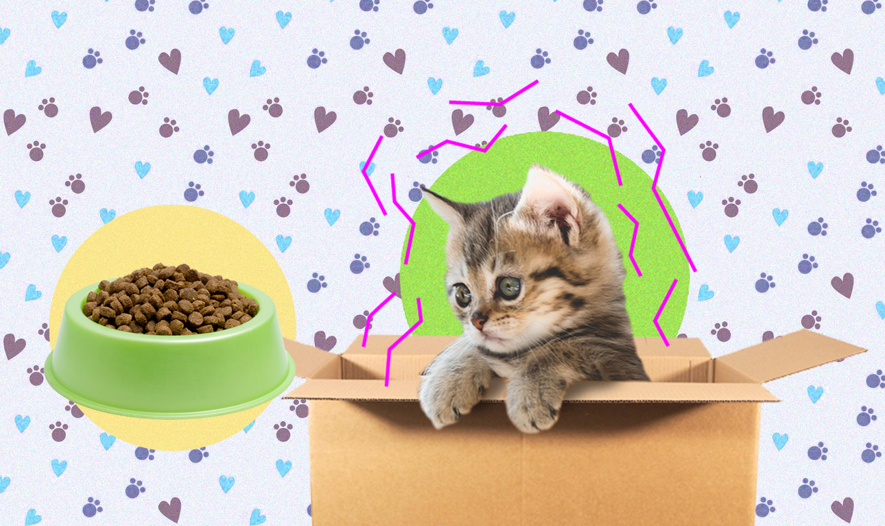 Η ζωή μου με τον Οτο