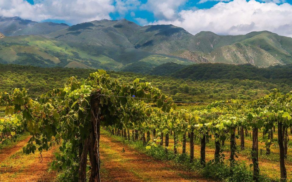Grape Travel: Στην Αργεντινή, τη χώρα του Malbec