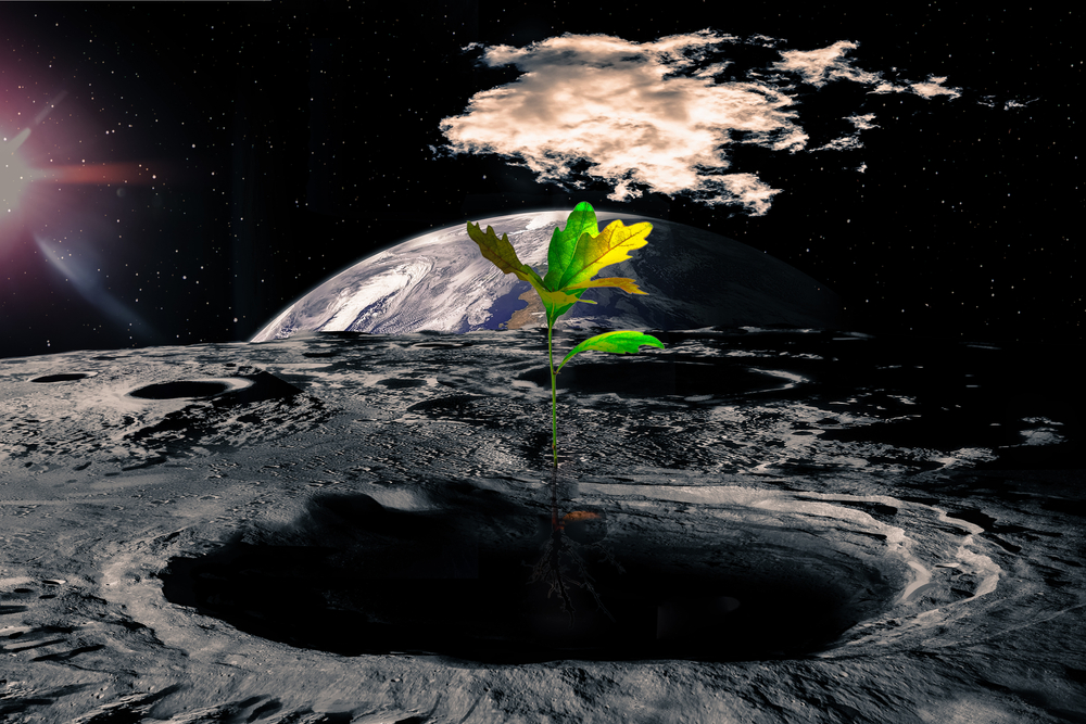 Πώς το σεληνιακό έδαφος θα γίνει γόνιμο για καλλιέργειες