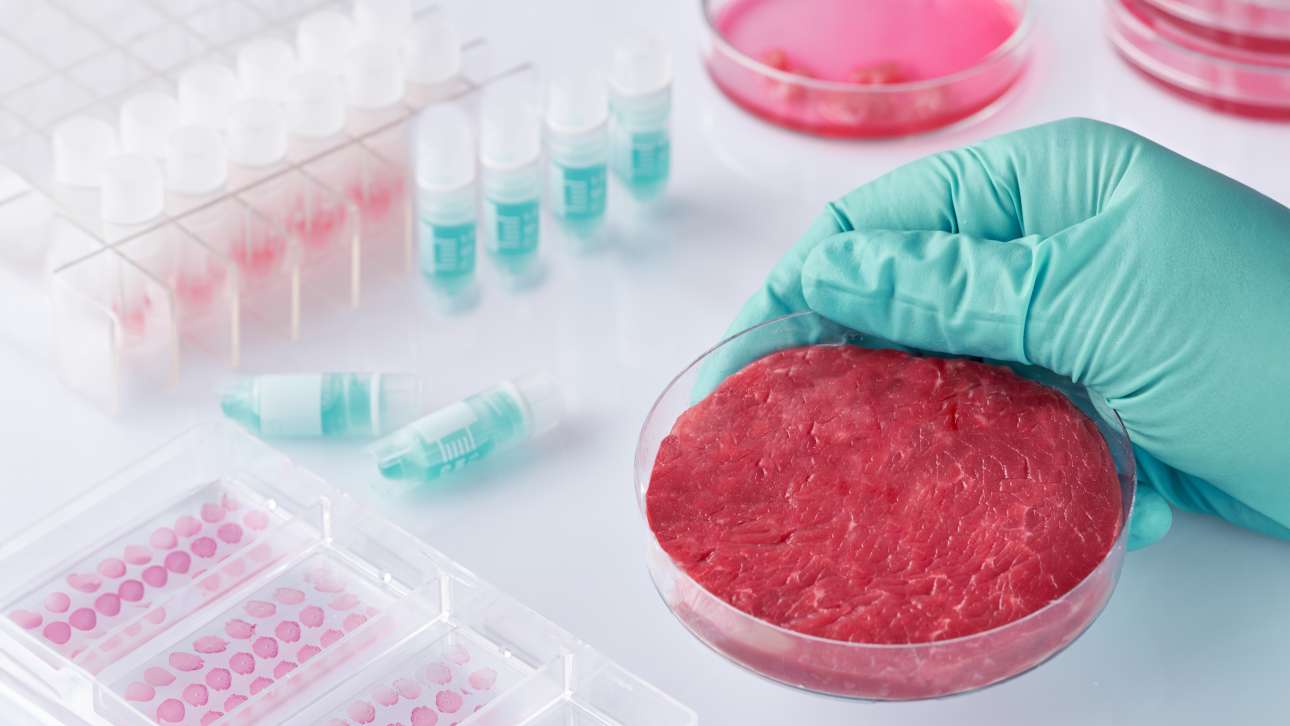 Η Ιταλία απαγορεύει το τεχνητά παραγόμενο κρέας