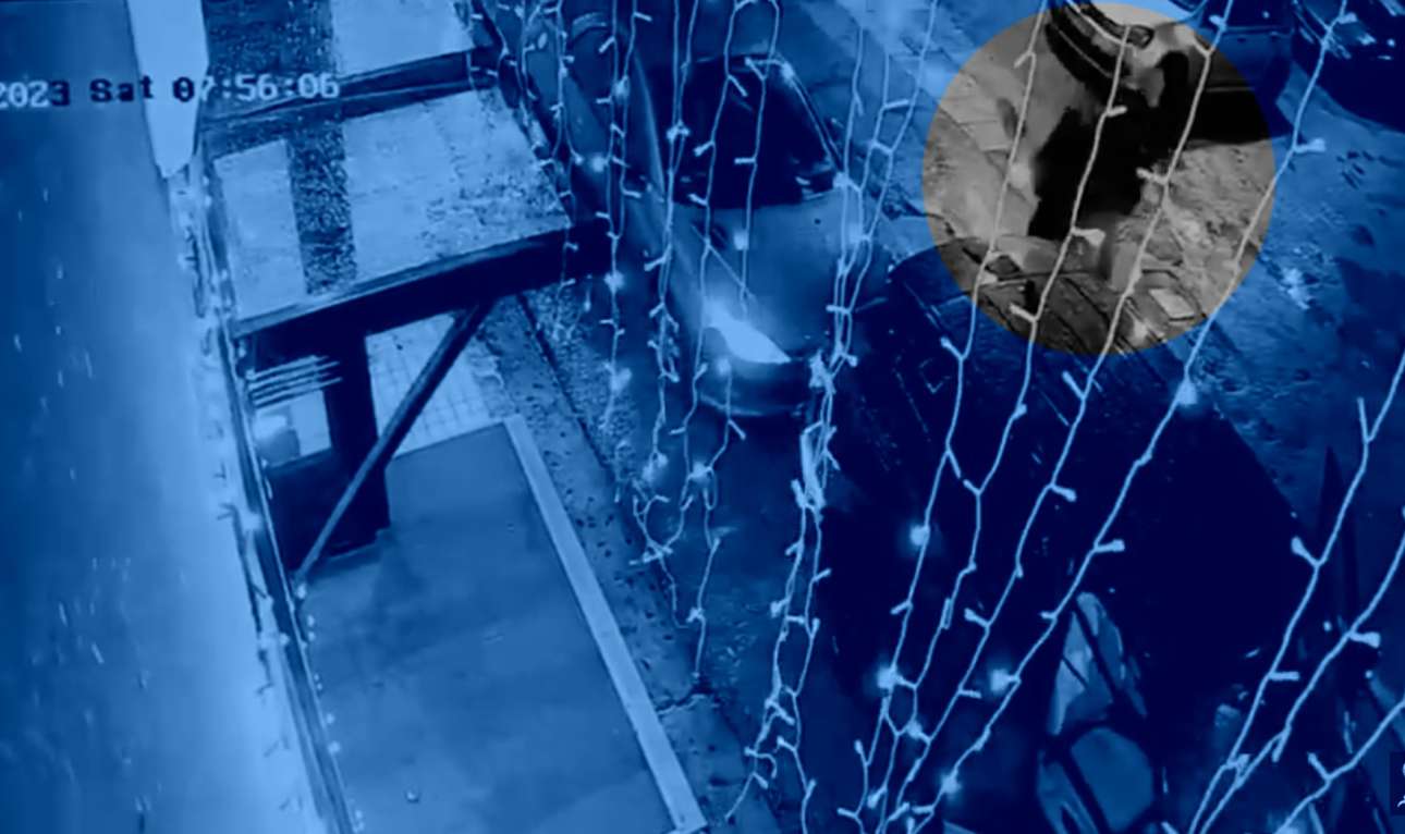 Νέο βίντεο-ντοκουμέντο από το Γκάζι: Τα 60 δευτερόλεπτα της επίθεσης κατά των Κρητικών