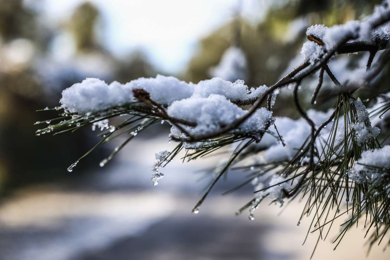 Eκτακτο δελτίο από την ΕΜΥ: «Ψυχρή εισβολή» από την Παρασκευή