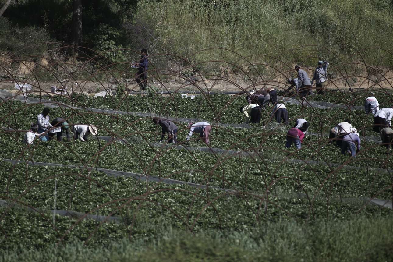 Διαψεύδει το Πακιστάν τα περί «κρυφής συμφωνίας με την Ελλάδα για 500.000 εργάτες»