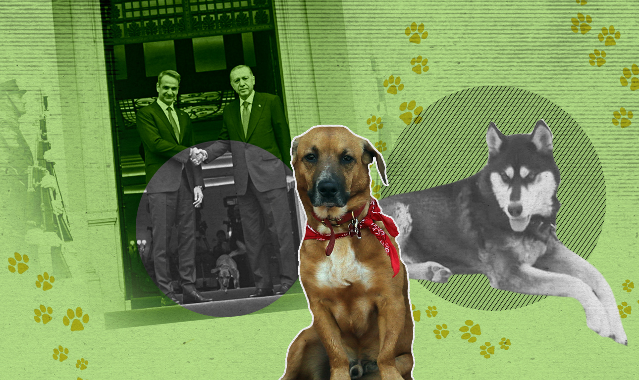 Πίνατ και Ολιβερ: αντίθετοι δρόμοι