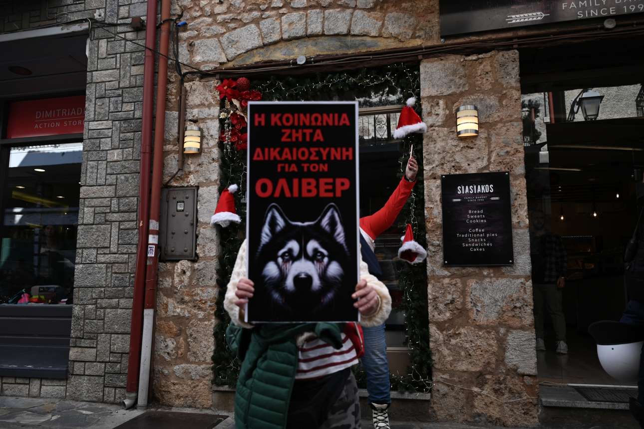 Πραγματογνώμονας ΕΛ.ΑΣ. για Ολιβερ: «Δεν τεκμαίρεται κακοποίηση από άνθρωπο»