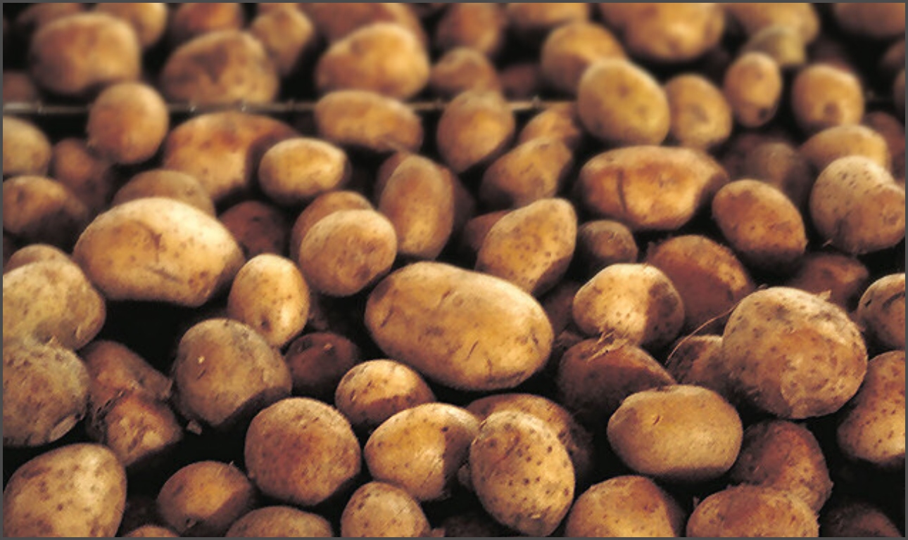 Σώστε τη φύση: Οχι στο κρέας και το ρύζι, ναι στις πατάτες