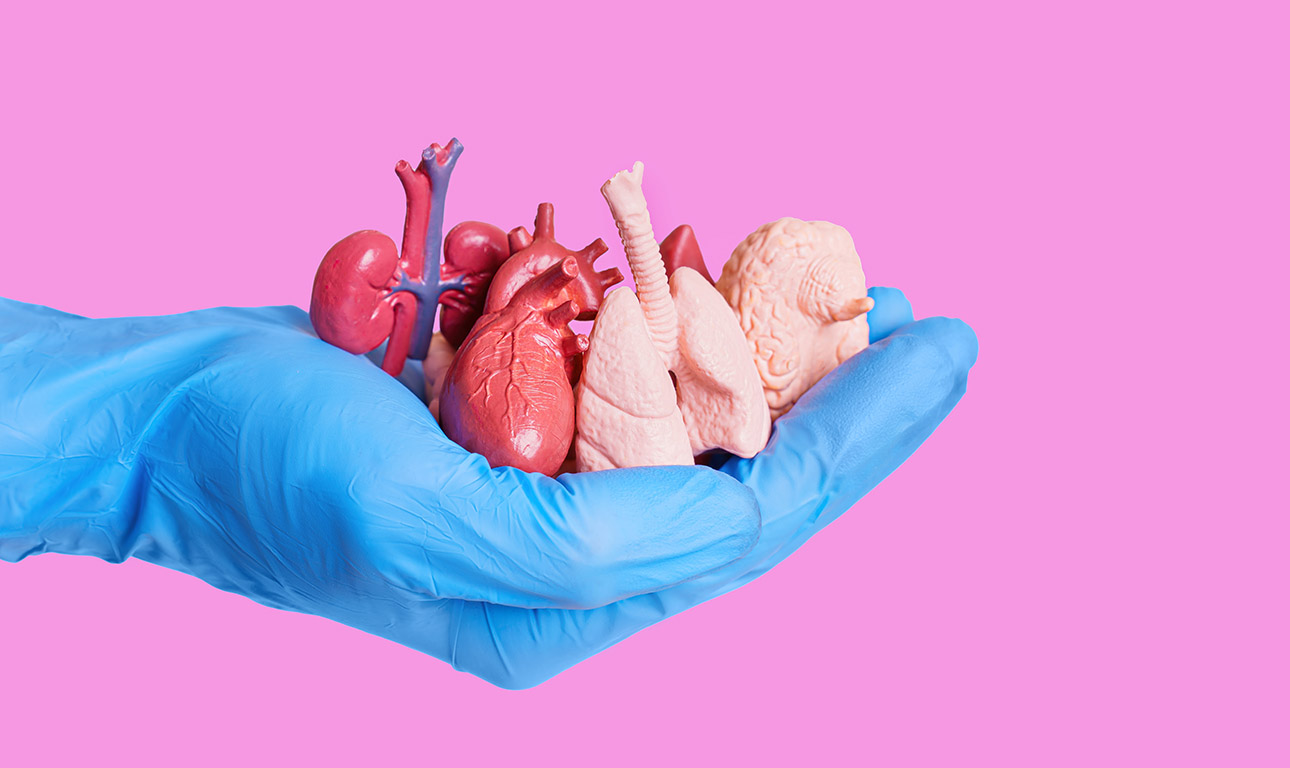 Μεταμοσχεύσεις: Αν τα όργανα από ζώα είναι το μέλλον, ποιο είναι το παρόν;