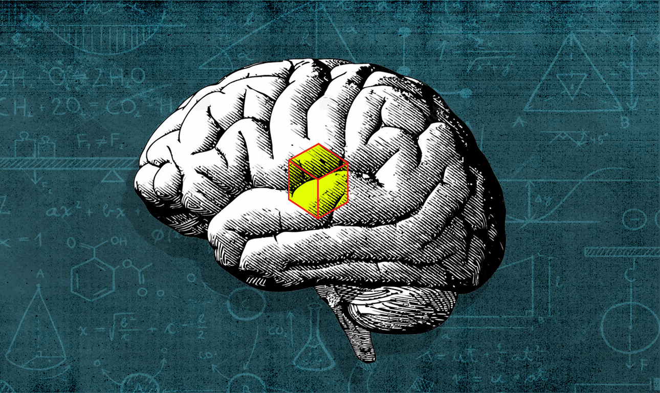 Πόσος εγκέφαλος χωράει σε ένα κυβικό χιλιοστό