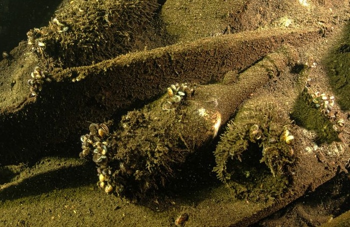 Βρήκαν στον βυθό τις σαμπάνιες που δεν ήπιε ο τσάρος