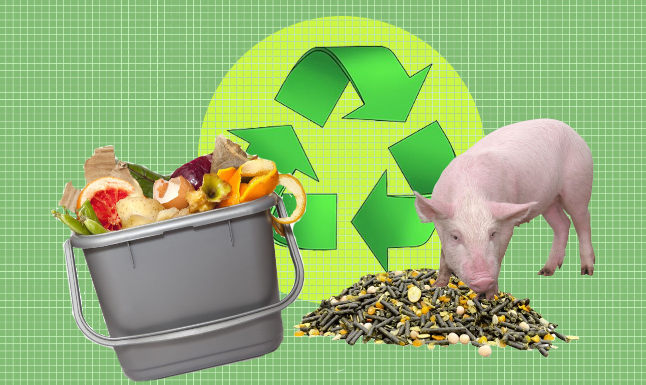 Στην Ιαπωνία ανακυκλώνουν απόβλητα τροφίμων μέσω ζύμωσης