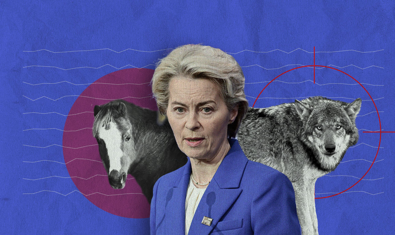 Σαν παραμύθι: Η Ούρσουλα, το πόνι και ο κακός λύκος