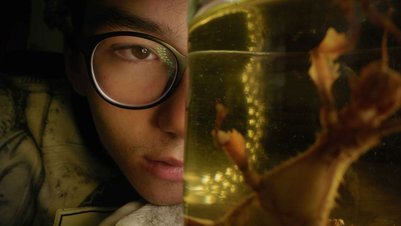 Onassis Film Award στο 27ο Φεστιβάλ Ντοκιμαντέρ Θεσσαλονίκης