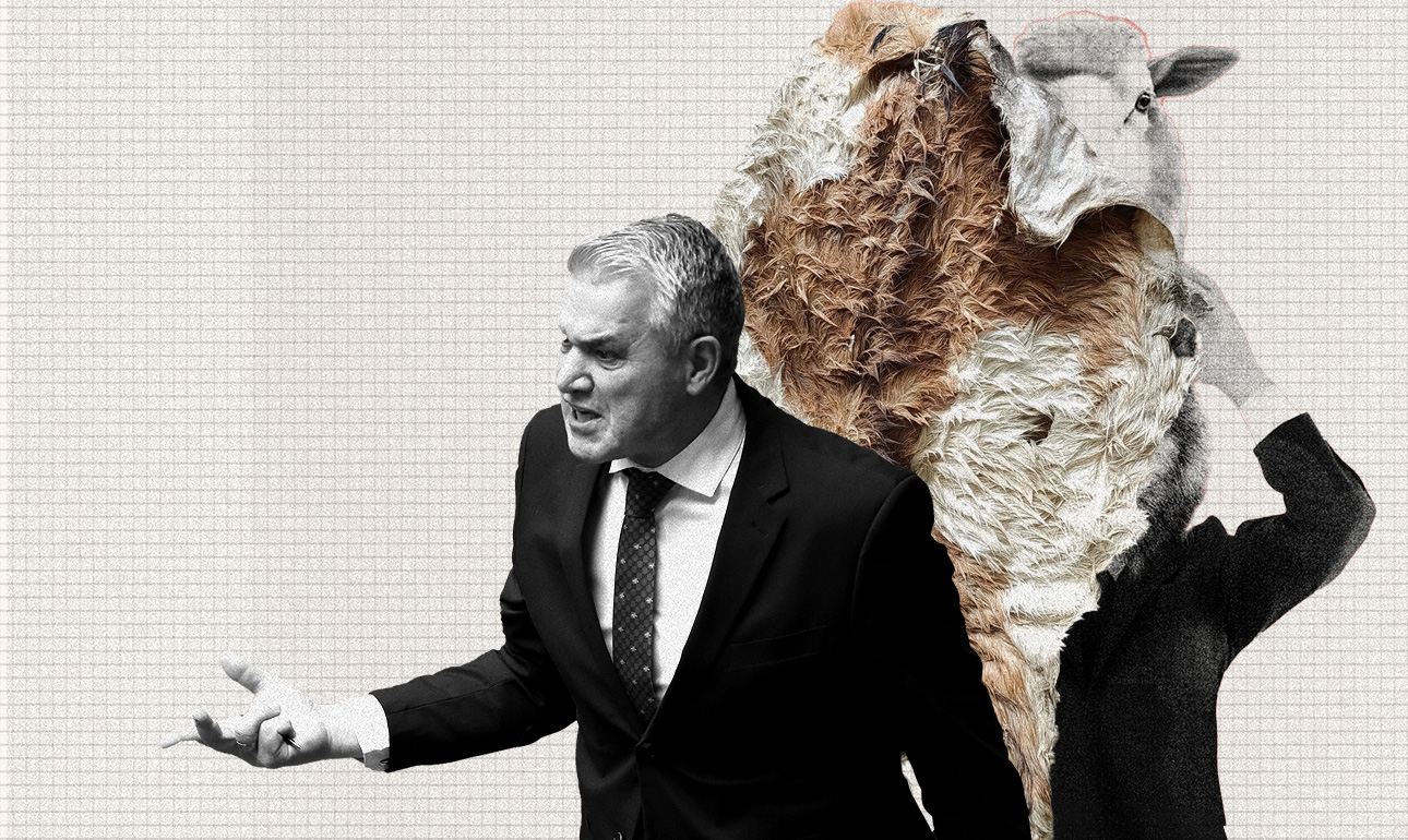 Κοστούμι αντί προβιάς;