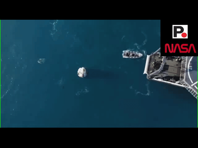 Δελφίνια υποδέχθηκαν τους αστροναύτες της NASA στον Κόλπο του Μεξικού