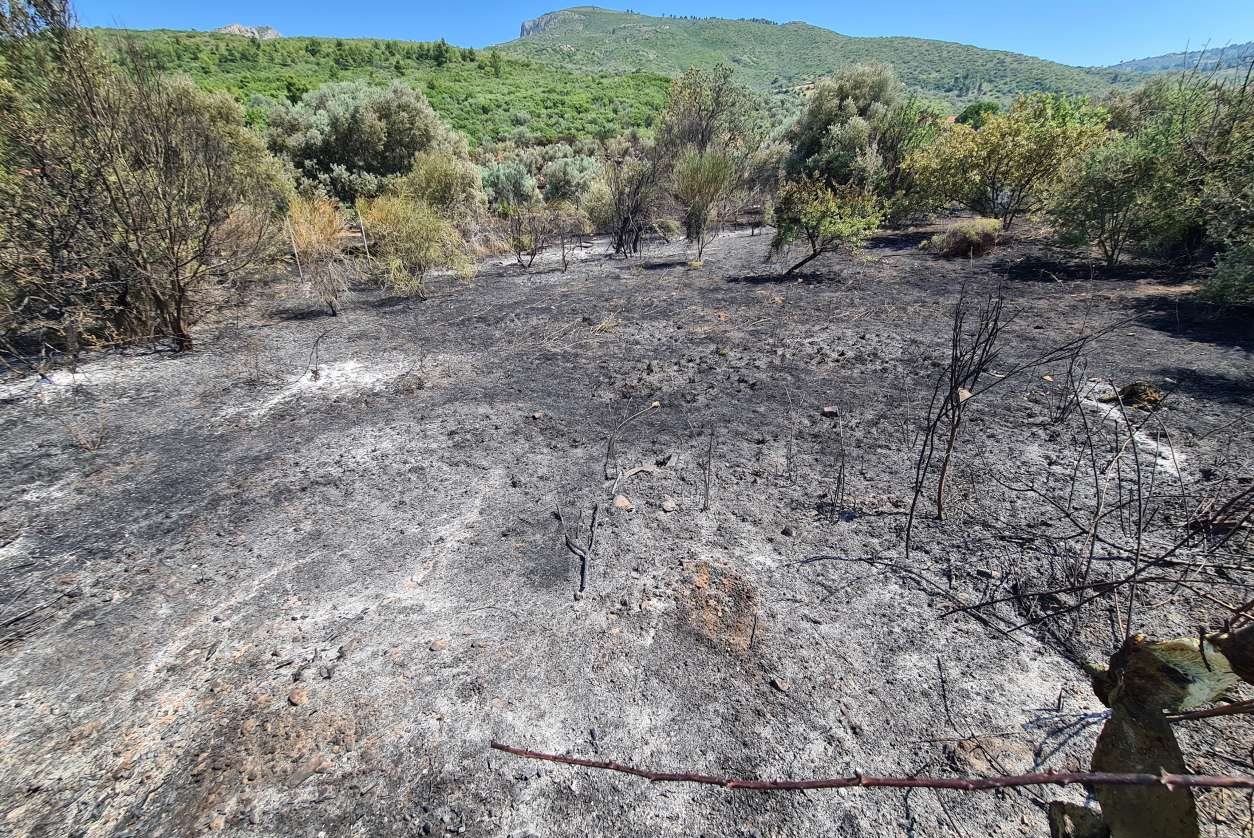 Ακαθάριστα οικόπεδα: Ανοιξε η πλατφόρμα δηλώσεων από τους ιδιοκτήτες -πότε λήγει η προθεσμία