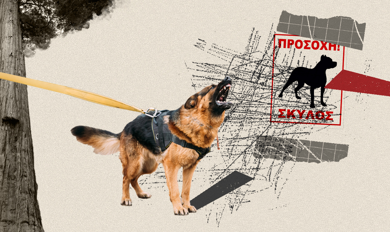 Προσοχή, σκύλος