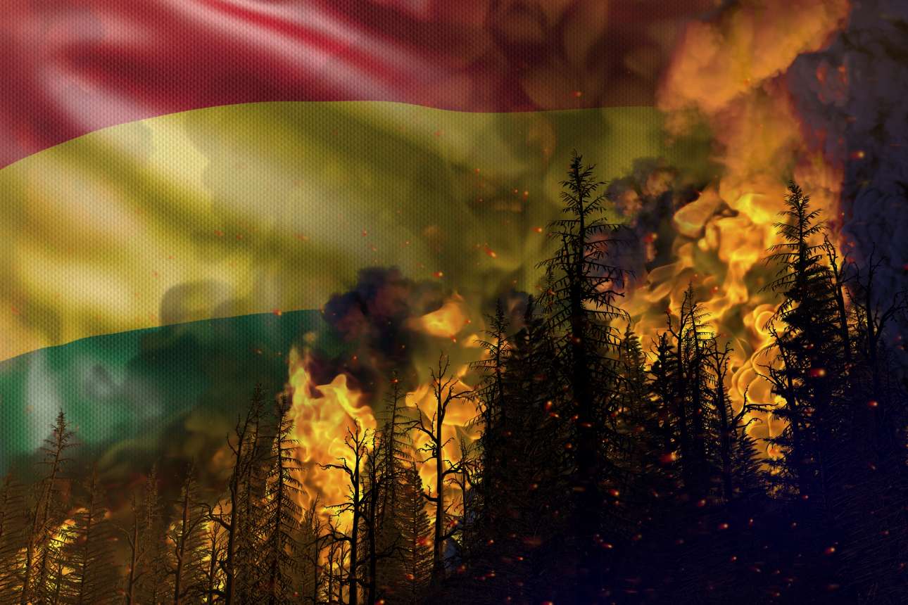 Κόκκινος συναγερμός: Εξαφανίζονται τα δάση της Λατινικής Αμερικής