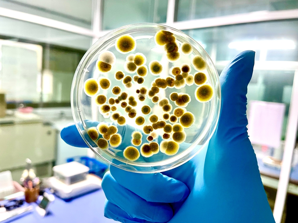 Μύκητες: Δολοφόνοι με σύμμαχο την κλιματική αλλαγή